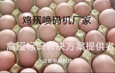 鸡蛋喷码机厂家，禽蛋行业包装解决方案提供者