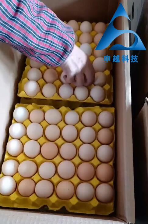 申越科技为鸡蛋生产企业解决假冒鸡蛋困扰